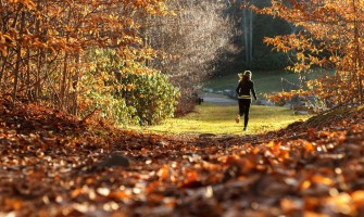 5 errori che ti fanno perdere energia e forma fisica in autunno (e come evitarli) 5 errori che ti fanno perdere energia e forma fisica in autunno (e come evitarli)