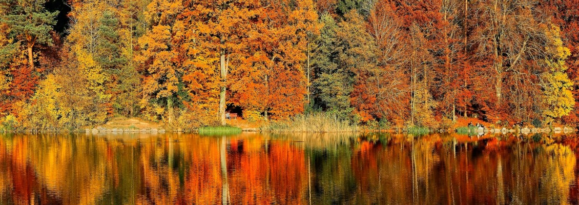 Autunno con energia: come ritrovare motivazione e benessere ogni giorno Autunno con energia: come ritrovare motivazione e benessere ogni giorno