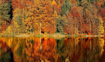 Autunno con energia: come ritrovare motivazione e benessere ogni giorno Autunno con energia: come ritrovare motivazione e benessere ogni giorno