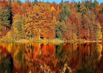 Autunno con energia: come ritrovare motivazione e benessere ogni giorno